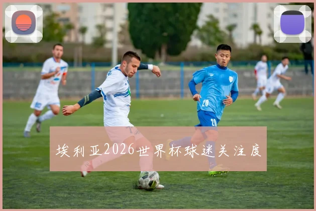 埃利亚2026世界杯球迷关注度