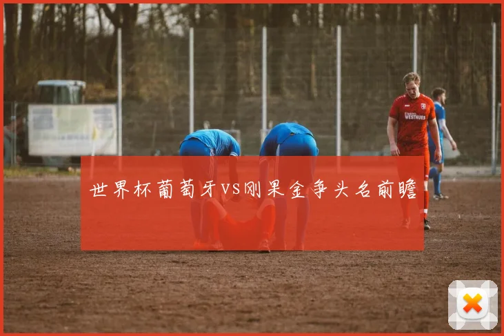 世界杯葡萄牙vs刚果金争头名前瞻