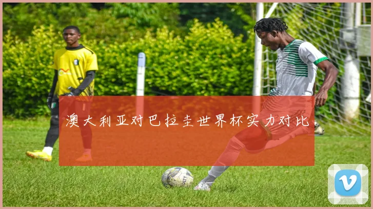 澳大利亚对巴拉圭世界杯实力对比