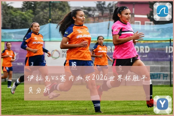 伊拉克vs塞内加尔2026世界杯胜平负分析