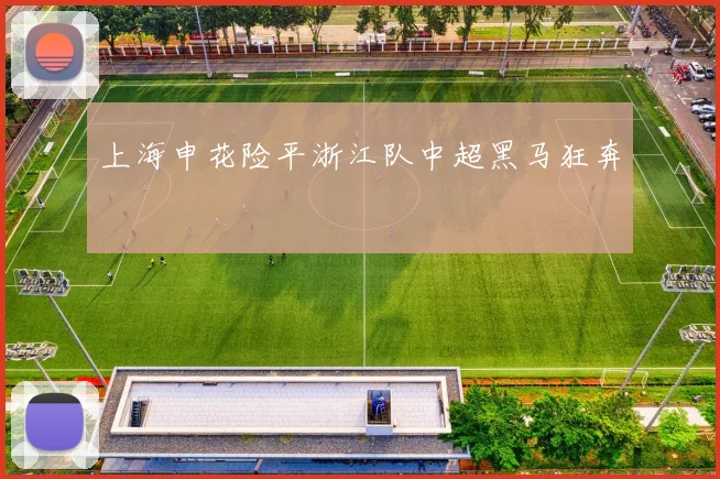 上海申花险平浙江队中超黑马狂奔