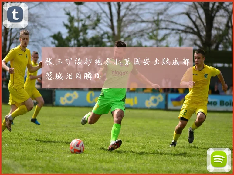 张玉宁读秒绝杀北京国安击败成都蓉城泪目瞬间
