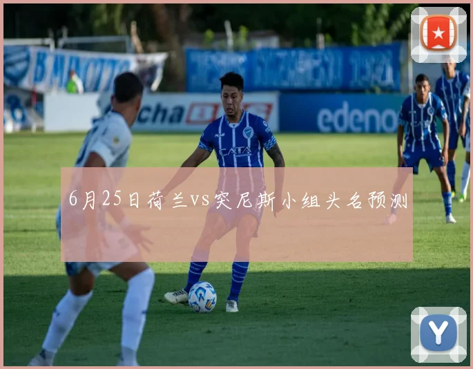 6月25日荷兰vs突尼斯小组头名预测