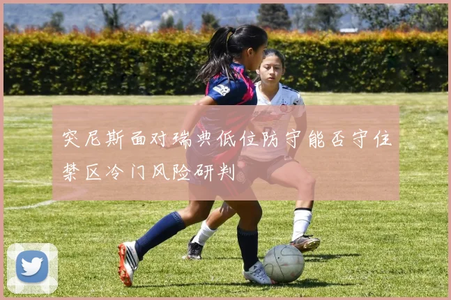 突尼斯面对瑞典低位防守能否守住禁区冷门风险研判