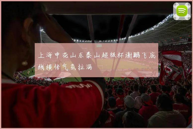 上海申花山东泰山超级杯谢鹏飞底线横传气氛拉满