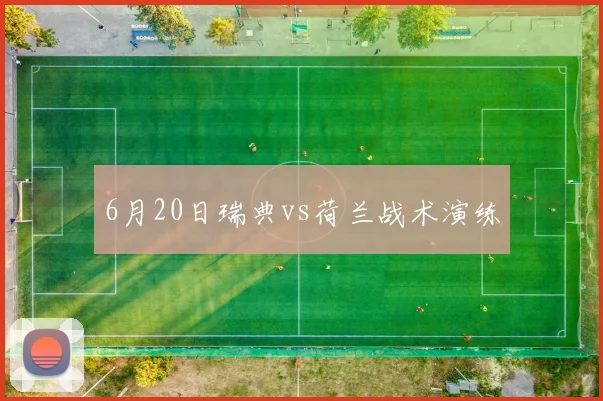6月20日瑞典vs荷兰战术演练