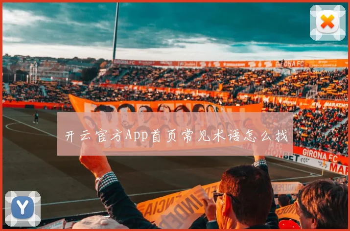 开云官方App首页常见术语怎么找