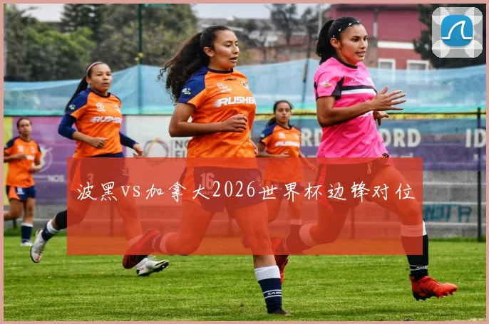 波黑vs加拿大2026世界杯边锋对位